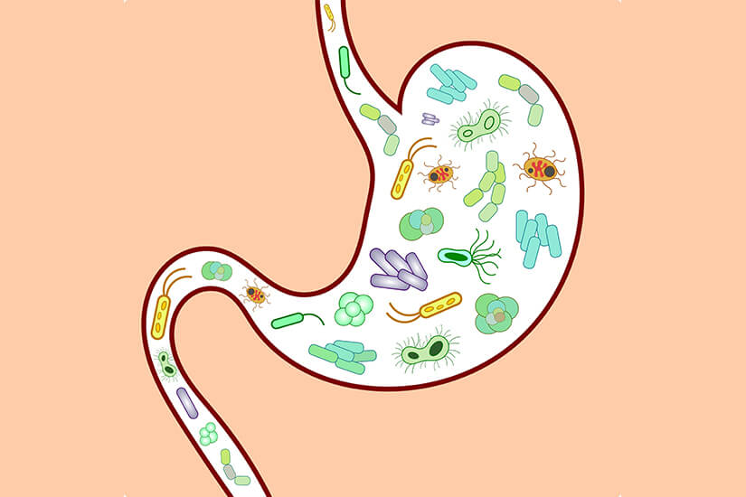 Ce-sunt-probioticele