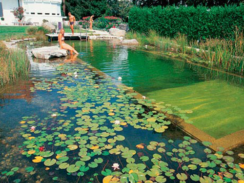 Ce este o piscina naturala