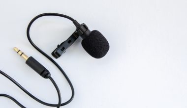 microfoane spionaj