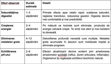 Beneficii zeolit: Tot ce trebuie să știi despre acest mineral detoxifiant