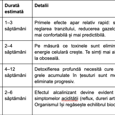 Beneficii zeolit: Tot ce trebuie să știi despre acest mineral detoxifiant