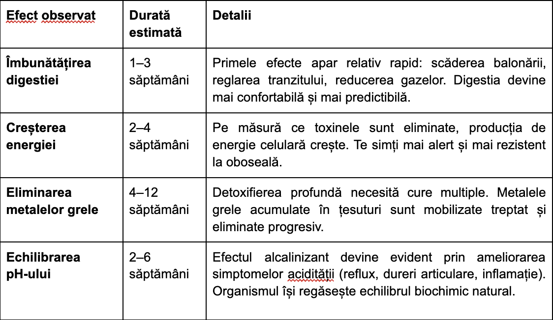 Beneficii zeolit: Tot ce trebuie să știi despre acest mineral detoxifiant